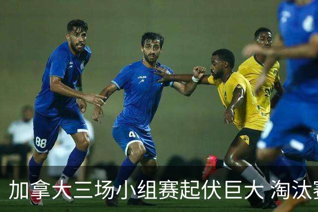 加拿大三场小组赛起伏巨大 淘汰赛若对战韩国不轻松