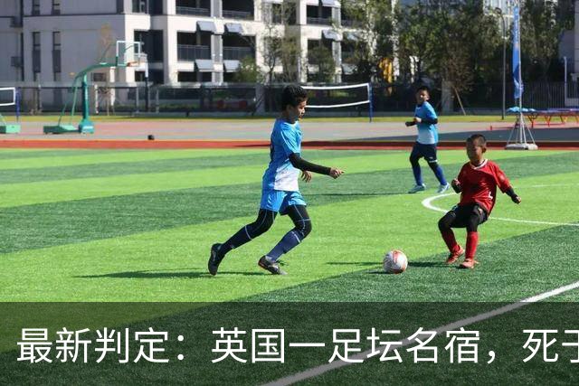最新判定：英国一足坛名宿，死于反复用头顶球所导致的脑部疾病